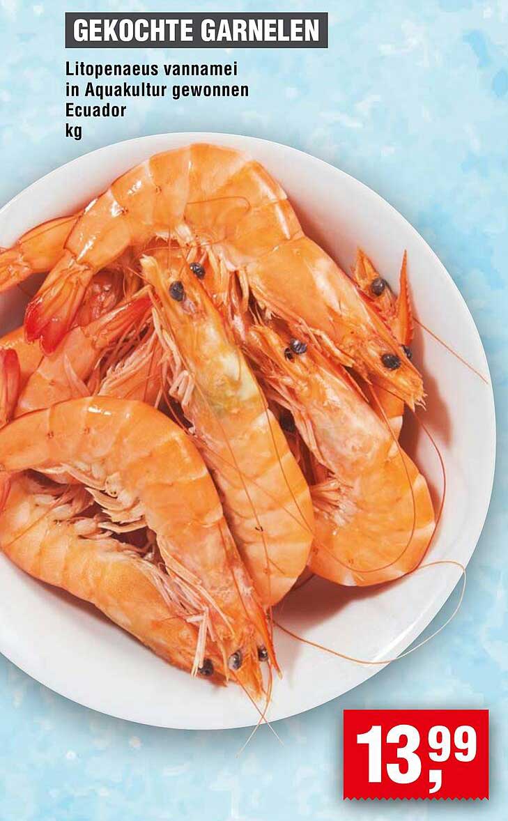 Gekochte Garnelen - Litopenaeus vannamei in Aquakultur gewonnen aus Ecuador