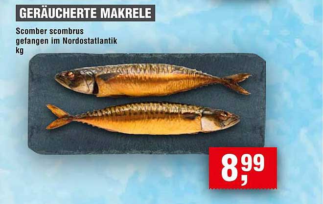 Geräucherte Makrele - Scomber scombrus