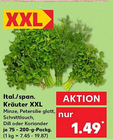 Ital./span. Kräuter XXL - Minze, Petersilie, Schnittlauch, Dill oder Koriander