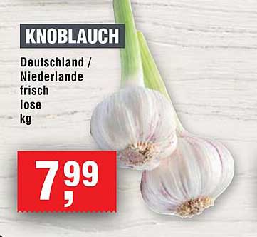 KNOBLAUCH frisch lose