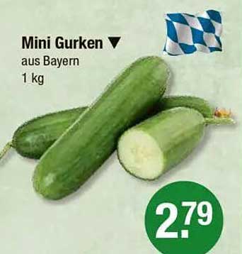 Mini Gurken aus Bayern - 1 kg