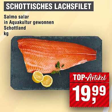 Schottisches Lachsfilet