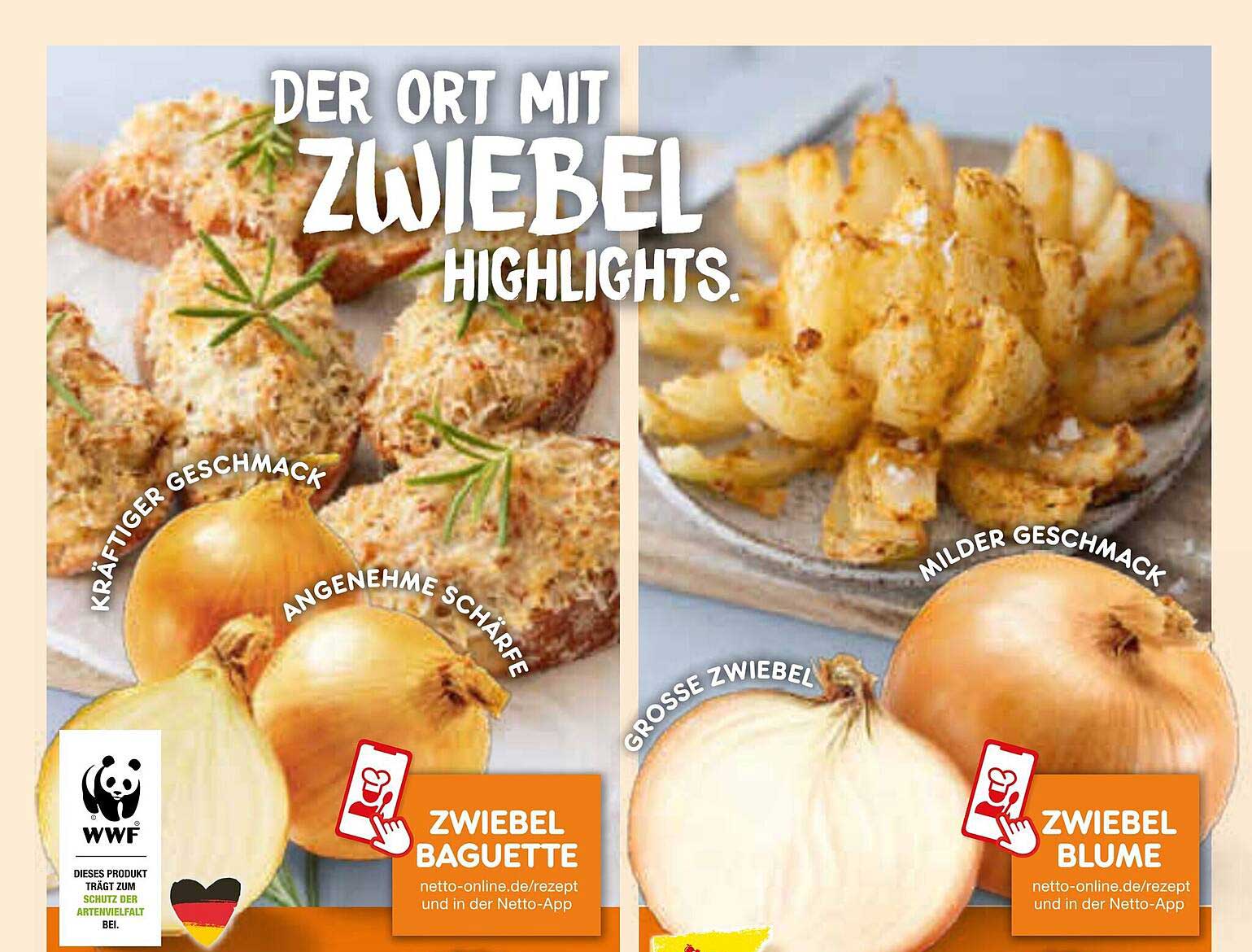 Zwiebel Baguette und Zwiebel Blume im Angebot