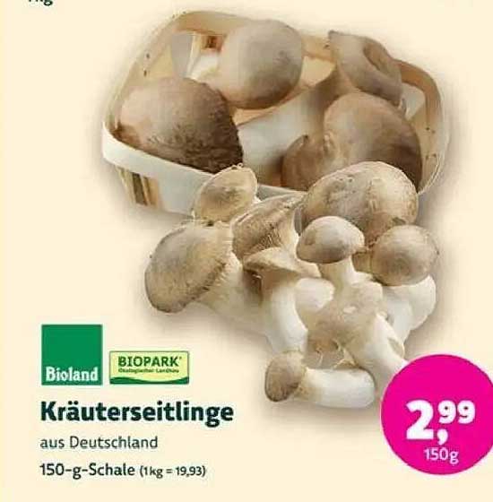 Kräuterseitlinge aus Deutschland - 150-g-Schale