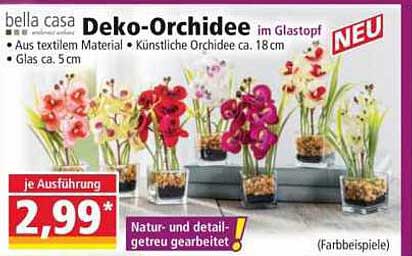 Deko-Orchidee im Glastopf