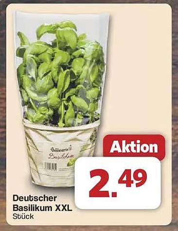 Deutscher Basilikum XXL