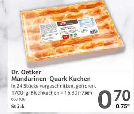 Dr. Oetker Mandarinen-Quark Kuchen in 24 Stücke vorgechnitten, gefroren