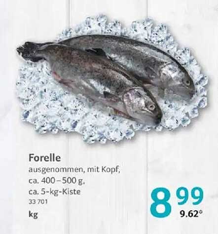 Forelle ausgenommen, mit Kopf, ca. 400-500 g, ca. 5-kg-Kiste