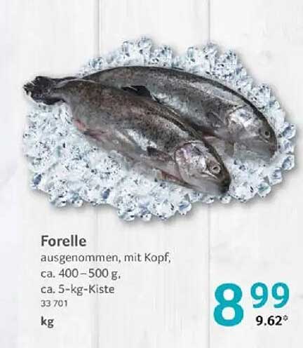 Forelle ausgenommene, mit Kopf, ca. 400–500 g, ca. 5-kg-Kiste