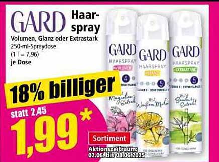 GARD Haarspray – Volumen, Glanz oder Extrastark 250-ml-Spraydose