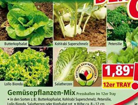 Gemüsepflanzen-Mix Pressballen im 12er Tray