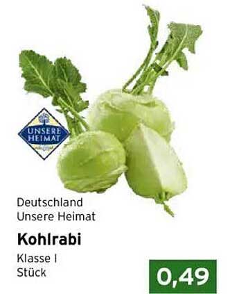 Kohlrabi - Klasse I Stück
