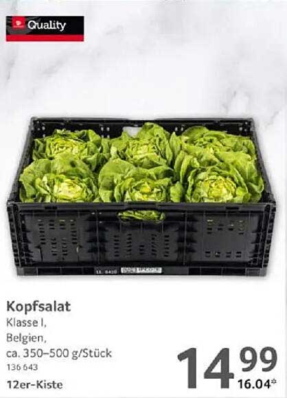 Kopfsalat Klasse I aus Belgien - 12er-Kiste