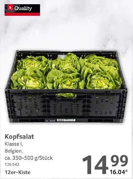 Kopfsalat Klasse I, Belgien, 12er-Kiste