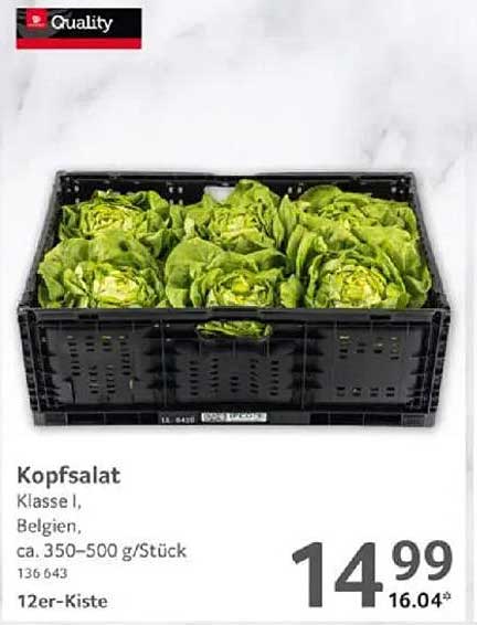 Kopfsalat Klasse I, Belgien, ca. 350-500 g/Stück