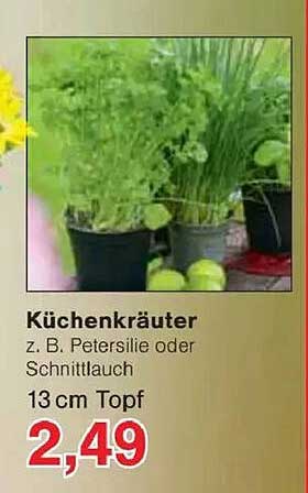 Küchenkräuter z. B. Petersilie oder Schnittlauch - 13 cm Topf