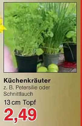 Küchenkräuter z. B. Petersilie oder Schnittlauch 13 cm Topf