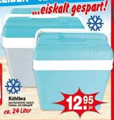 Kühlbox für Ihre Sommerausflüge - eiskalt gespart!