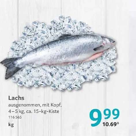 Lachs (ausgenommt, mit Kopf, 4–5 kg, ca. 15-kg-Kiste)