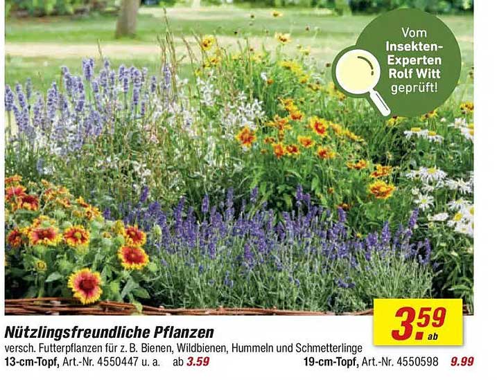 Nützlingsfreundliche Pflanzen