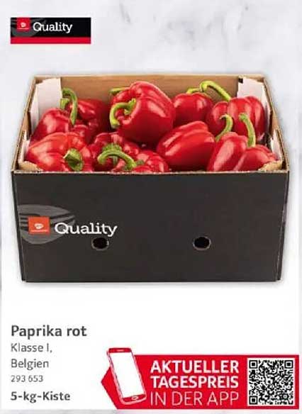 Paprika rot - 5-kg-Kiste