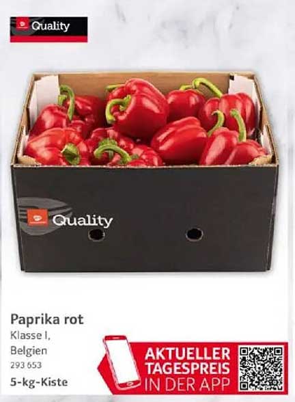 Paprika rot - Klasse I, Belgien, 5-kg-Kiste