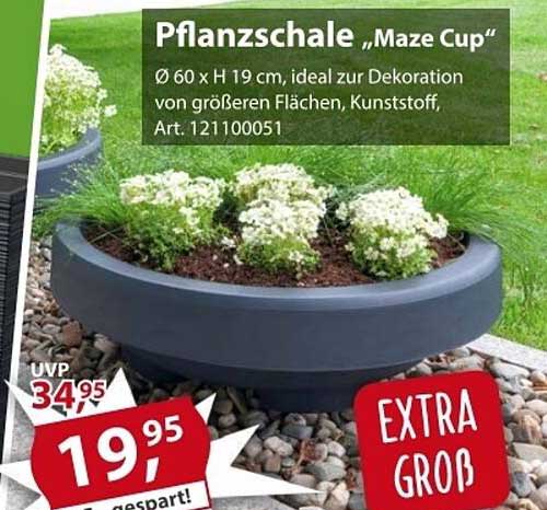 Pflanzschale „Maze Cup“
