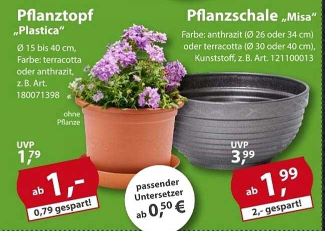 Pflanztopf „Plastica“ und Pflanzschale „Misa“