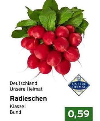 Radieschen Klasse I Bund