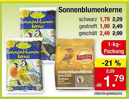 Sonnenblumenkerne – Ideal für Ihren Garten und als Vogelfutter
