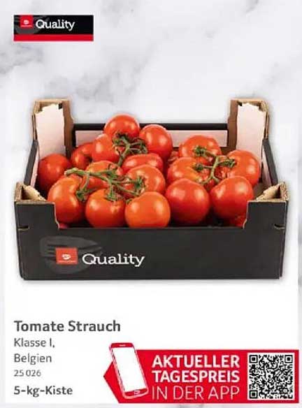 Tomate Strauch Klasse I, Belgien, 5-kg-Kiste