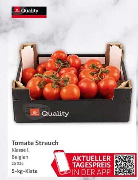 Tomate Strauch Klasse I, Belgien, 5-kg-Kiste