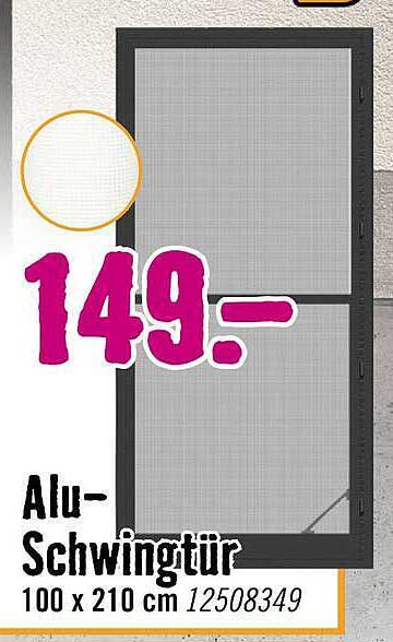 Alu-Schwingtür 100 x 210 cm 12508349