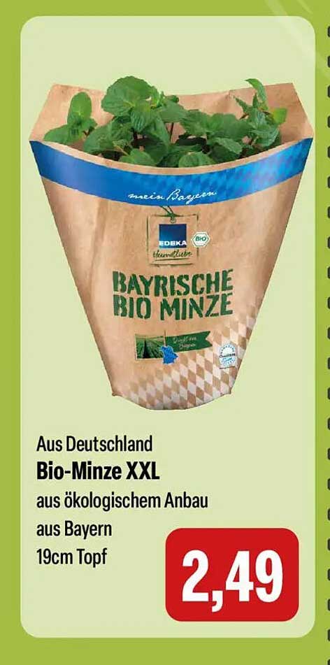 Bio-Minze XXL