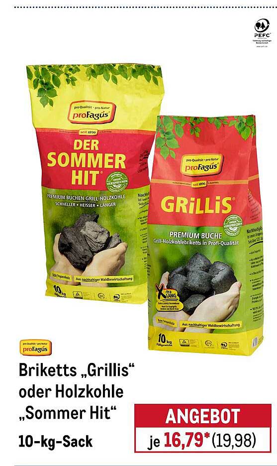 Briketts „Grillis“ oder Holzkohle „Sommer Hit“ 10-kg-Sack