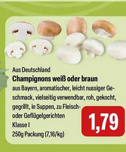 Champignons weiß oder braun