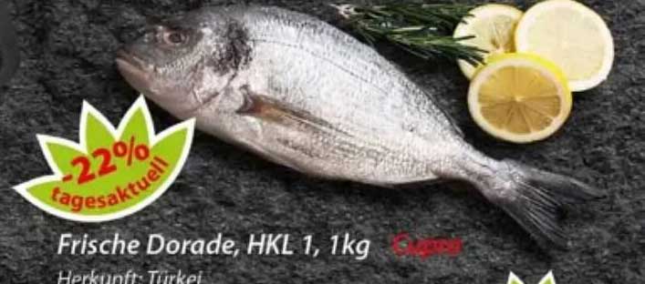 Frische Dorade, HKL 1, 1kg