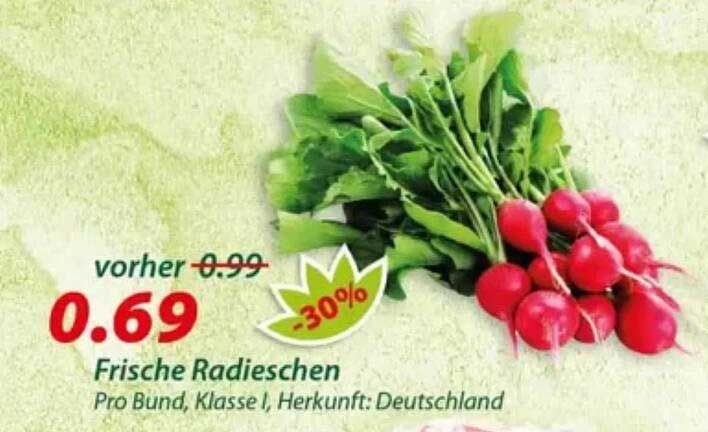 Frische Radieschen