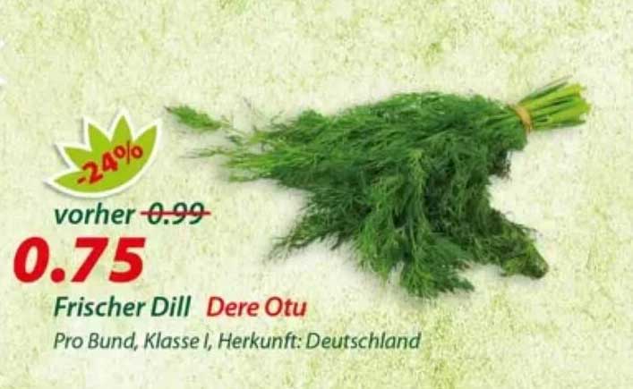 Frischer Dill Dere Otu