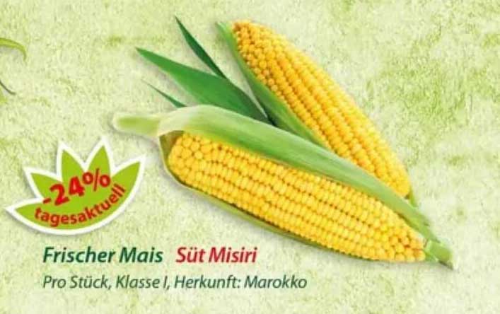 Frischer Mais Süt Mısırı
