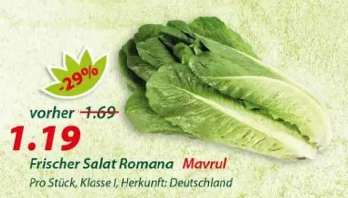 Frischer Salat Romana Mavrol