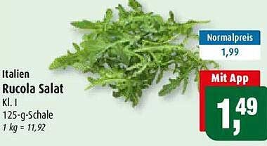 Italien Rucola Salat