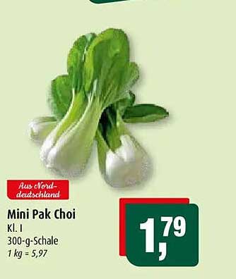 Mini Pak Choi