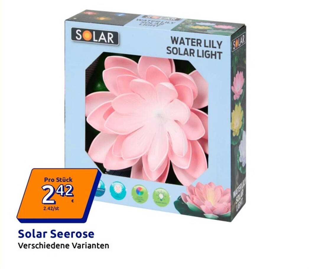 Solar Seerose Verschiedene Varianten