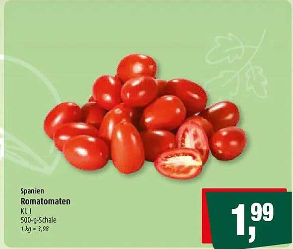 Spanien Romatotamen