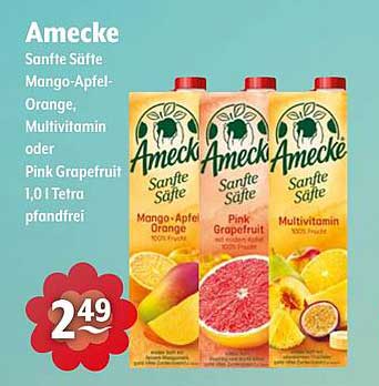 Amecke Sanfte Säfte - Mango-Apfel-Orange, Multivitamin oder Pink Grapefruit 1,0 l Tetra pfandfrei