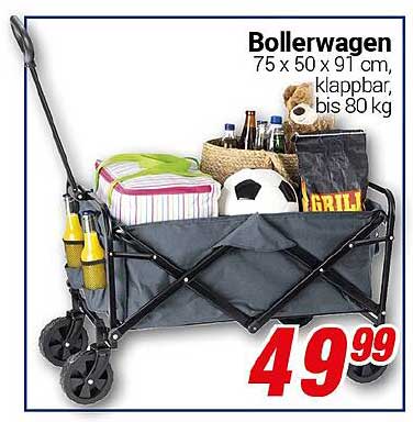 Bollerwagen - 75 x 50 x 91 cm, klappbar, bis 80 kg