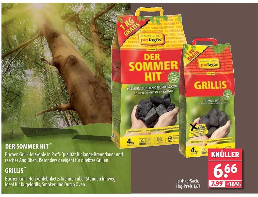 Der Sommer Hit - Premium Buchen Grill-Holzkohle