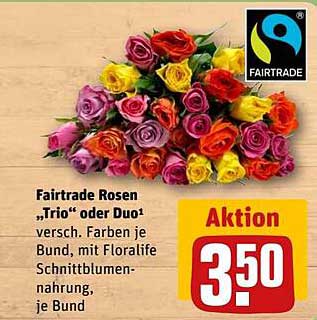 Fairtrade Rosen 'Trio' oder 'Duo'