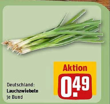 Lauchzwiebeln je Bund - Aktion nur 0,49 €!